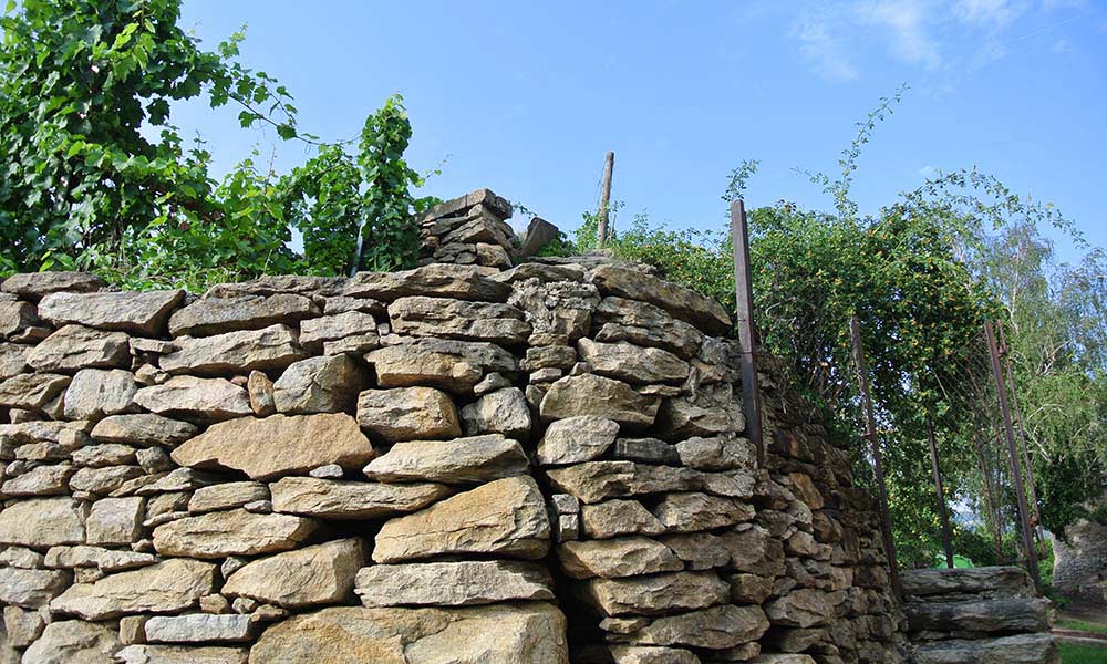 Steinmauer Weingärten Trockenmauer